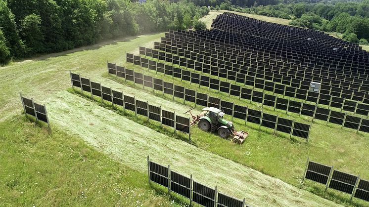 Agrivoltaisk solpark i tyska Dirmingen. Foto: Next2Sun