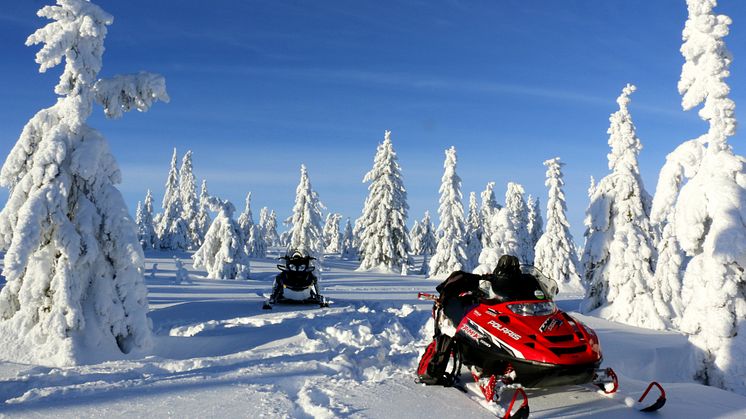 Skoterns framtid i Älvdalsregionen är hotad. Foto: Maria Brun Thegerström/Mostphotos