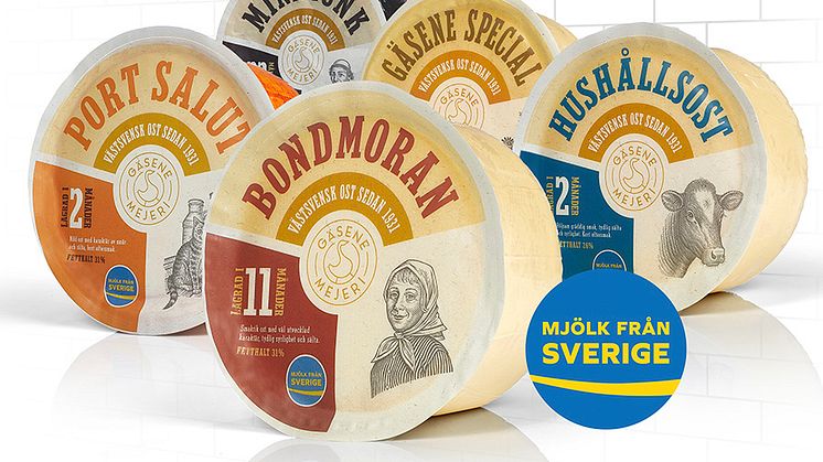 Gäsene är det enda området i Sverige där antalet kor och mjölkproduktionen ökar år från år, tack vare den populära Gäsene-osten. 
