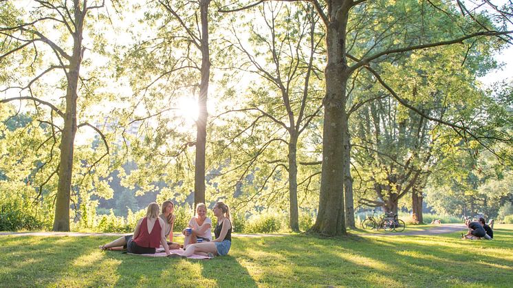 Parker kan sänka temperaturen, förändra den biologisk mångfalden och få oss att trivas bättre.