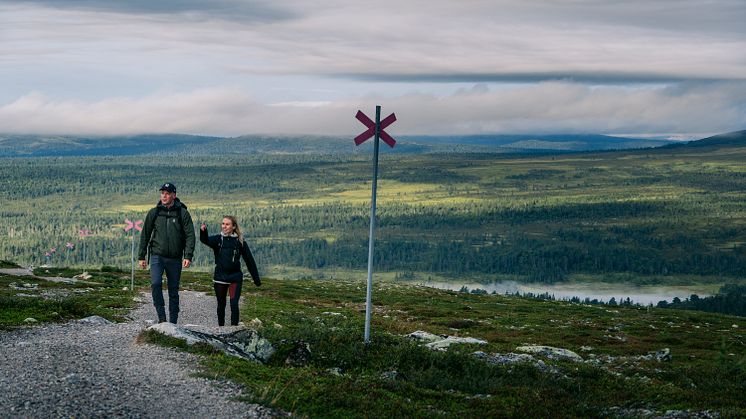 Most hikes in Grövelsjön have unbeatable views on offer. It doesn’t take long to get up to the bare mountains and see the expansive views for yourself. Photo: Per Hagdahl/VisitDalarna