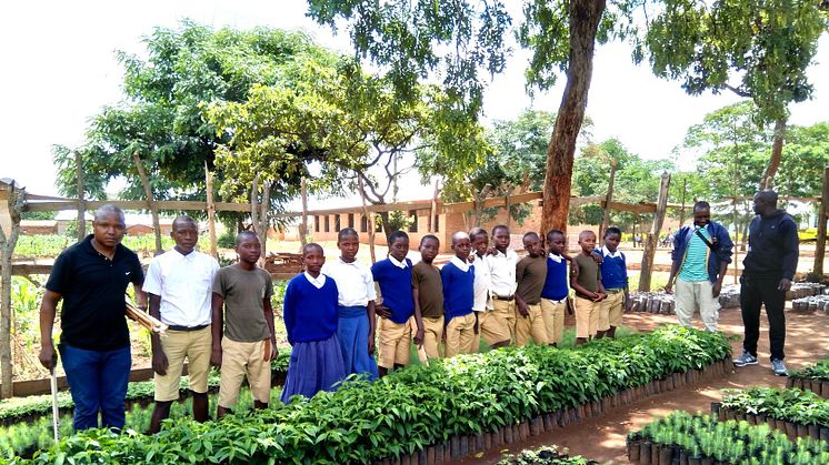 3 Tree nursery in school (1)