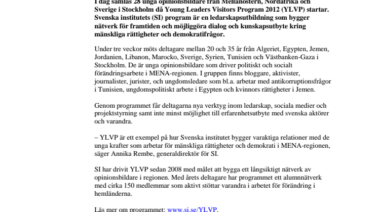 Svenska institutets Young Leaders Visitors Program