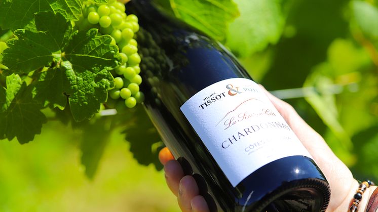 Högklassig, frisk och ekfatslagrad Chardonnay från trendiga vinregionen Jura