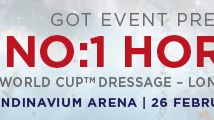Gothenburg Horse Show - City Gross ny sponsor