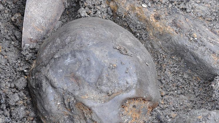 Skalle funnen vid utgrävningar i Motala 