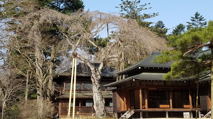 Nikko Tamozawa Imperial Villa Momental Park