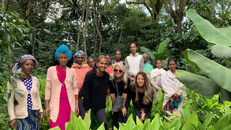 Agro-forestry in Ethiopia awarded in Sweden - world-leading sustainability award recognizes young initiatives for biodiversity