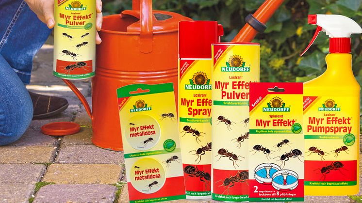 ​Neudorff tar upp kampen mot myror