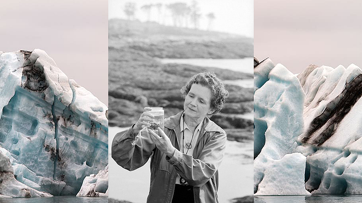 Klimatkvällens tema är Arktis, kvinnorna och klimatet. På bilden Rachel Carson, marinbiologpionjären bakom "Tyst vår" som slog larm om miljögifternas förödande effekter på jordens ekologi.