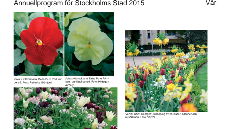 Annuellprogram för Stockholms stad