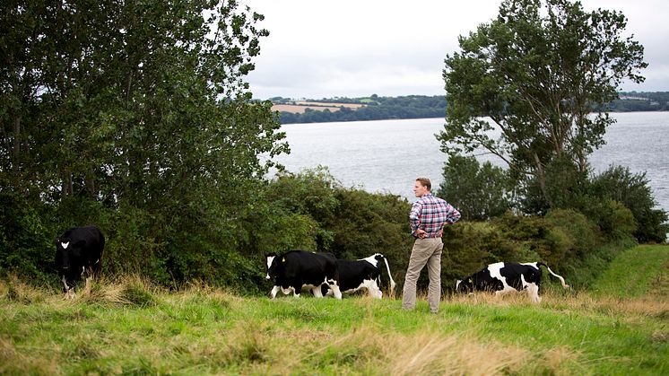 Analyse: Danskerne vil have lokalproduceret mælk