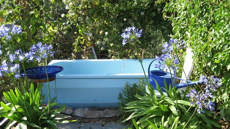En fantasifull trädgård med blått arrangemang som visas på Öppna Trädgårdar