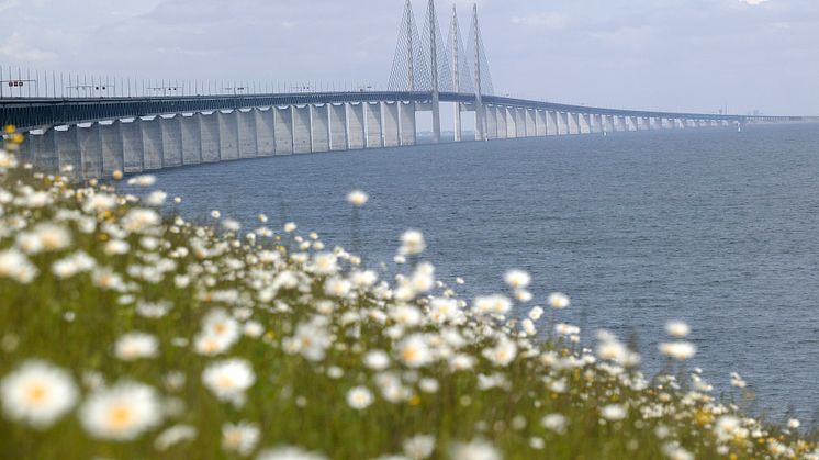 International block train routes Italy Direct and Austria Direct are now operated via Denmark instead of via the train ferry route between Trelleborg and Rostock.