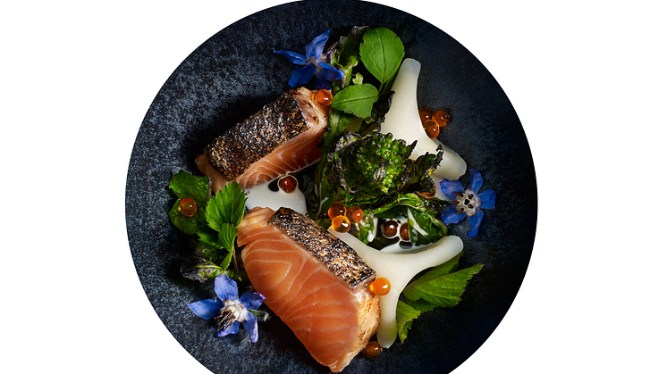 Maträtt med odlad regnbåge producerad av företaget Älvdalslax, som är partner inom projektet "5 ton grön fisk i disk". Foto: Salt Food & Communication/Sara Danielsson