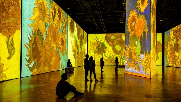 I den audiovisuella konstupplevelsen - Imagine Van Gogh, kan man i sommar uppleva bland annat Gustaf Hammarsten i "Van Goghs brev"  