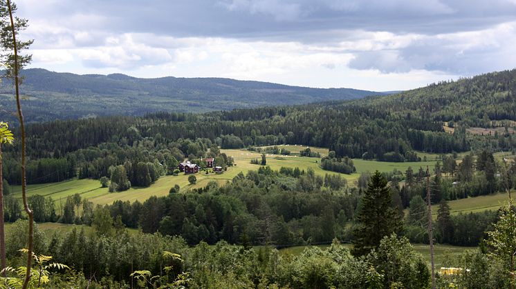 Stöd till två doktorander inom jordbruk respektive skogsbruk för ansökan senast 3 april 2023.