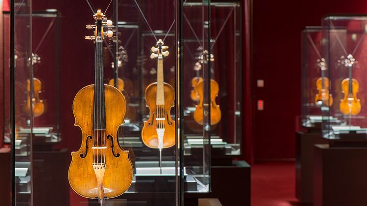 Historical violins from the collection at the Antonio Stradivari Violin Museum, ‘Scrigno dei Tesori’ room. Credit: MdV_20©Cristian_Chiodelli_per_MdV-1