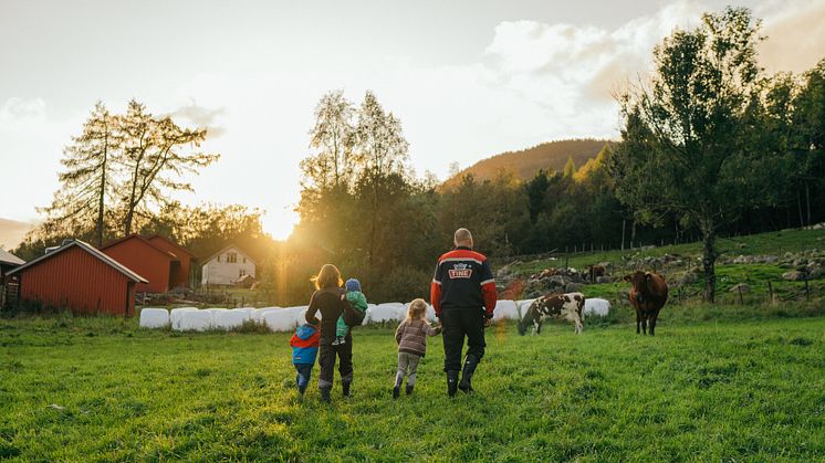 TINE på topp i stor omdømmekåring