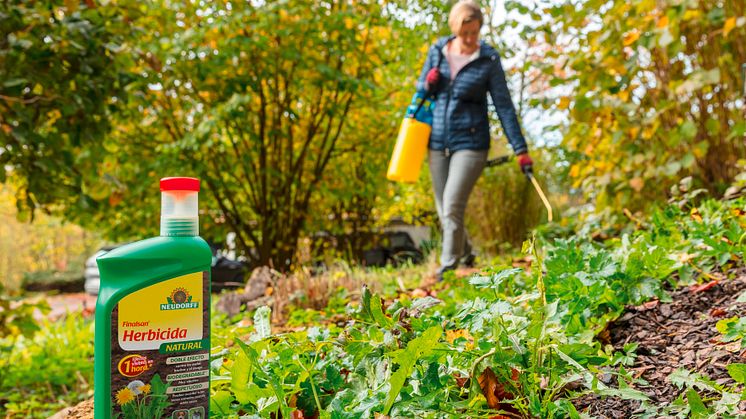 Diga adiós a las malas hierbas – con Finalsan® Herbicida NATURAL de Neudorff 