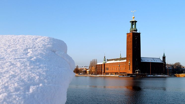 Forskare vid Stockholms universitet aktuella inför nobelveckan 