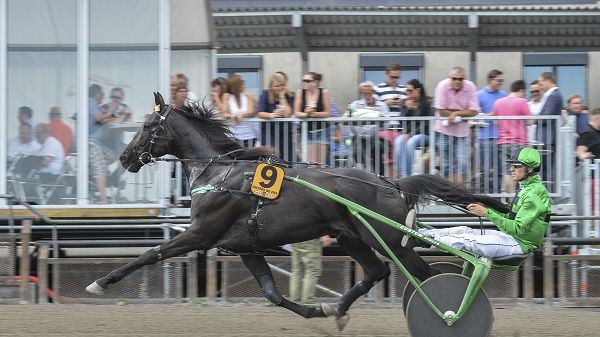 Univers de Pan klar för Elitloppet