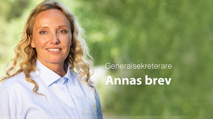 Annas brev – Bilsportens engagemang brinner värmande i ett kallare Idrottssverige