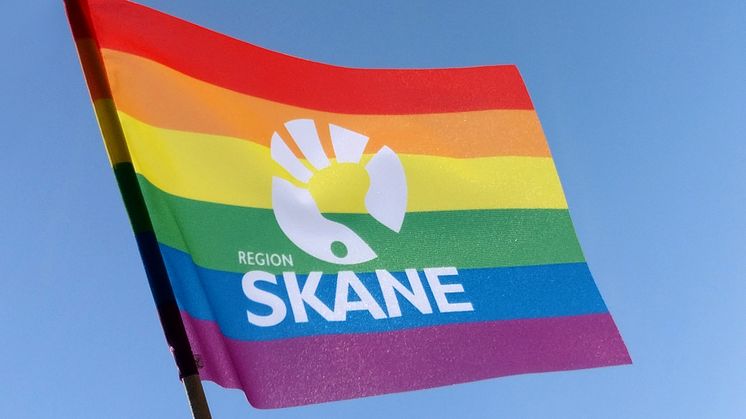 Region Skånes prideflagga.jpg