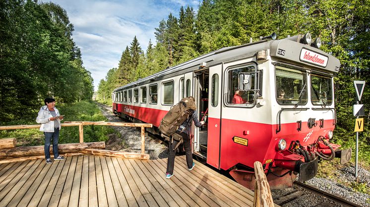 200 fler än förra sommaren rest med Inlandsbanekortet, ett två-veckors tågluffarkort.