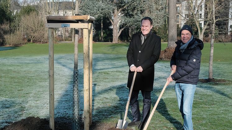 alltours finanziert zehn Bäume für den Hofgarten. Oberbürgermeister Dr. Stephan Keller (links) und alltours Inhaber Wili Verhuven haben im Düsseldorfer Hofgarten einen Tulpenbaum gepflanzt.