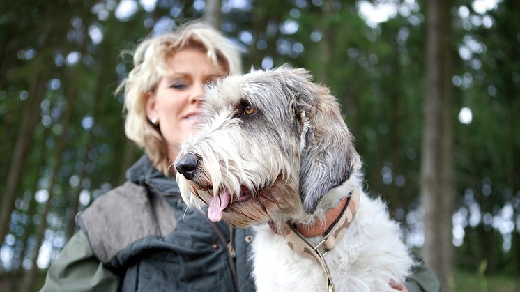 Kraftig ökning av jaktskador på hund