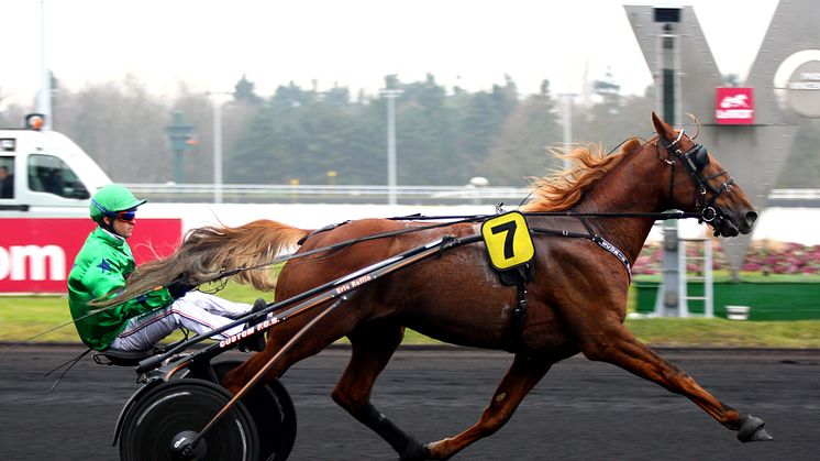 Aladin d´Ecajeul till Elitloppet