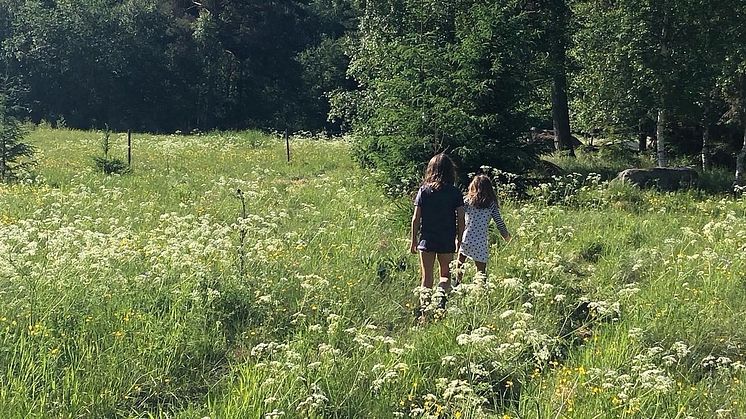 Swedish Silence: Jag lockar med tystnaden, det är en lyxvara för dagens människor