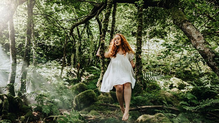 Skogens år på Norrviken. Ett år du tuktat och vilt möts i elegans. Foto: Lena Evertsson