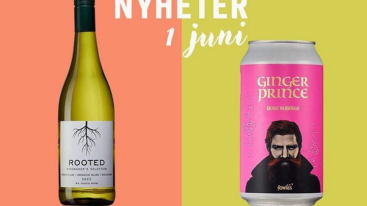 Nyheter i fasta sortimentet 1 juni: Krispig sydafrikansk Chenin Blanc och picknickvänlig rosé på burk