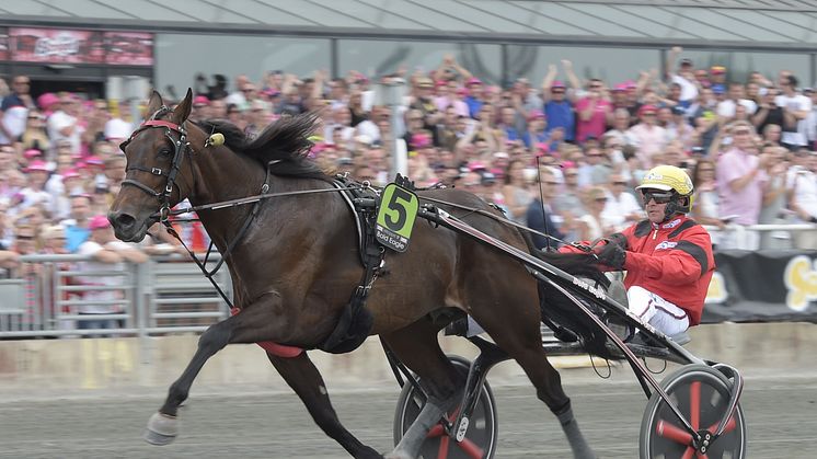 Bold Eagle inbjuden till Elitloppet