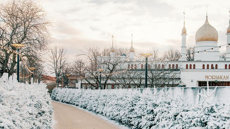 Välkommen in till Vinterdröm - ett upplyst vinterlandskap i Folkets Park fullt av små och stora överraskningar.