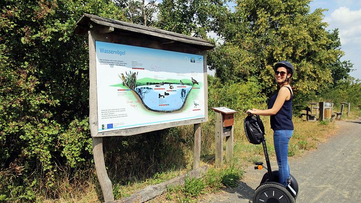 Naturlehrpfad am Grabschützer See - Segway Tour