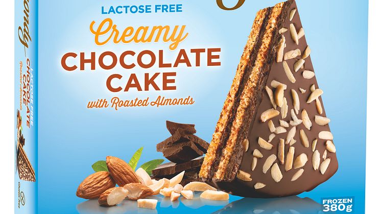 Lactose free Chocolate Cake with roasted Almonds