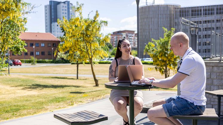 Rekordantal sökande till årets sommarkurser