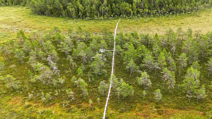 Grössjöns naturreservat