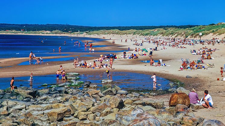 Tylösand strand i Halmstad.