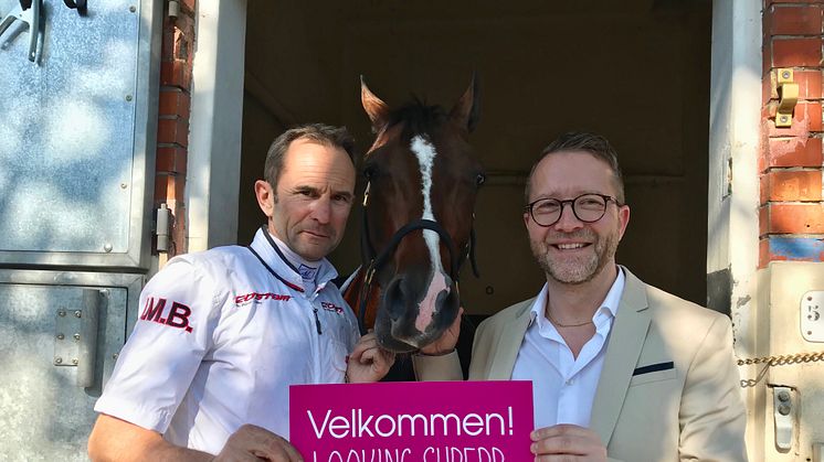 Looking Superb blir inbjuden till Elitloppet 2019. Foto: Solvalla. 