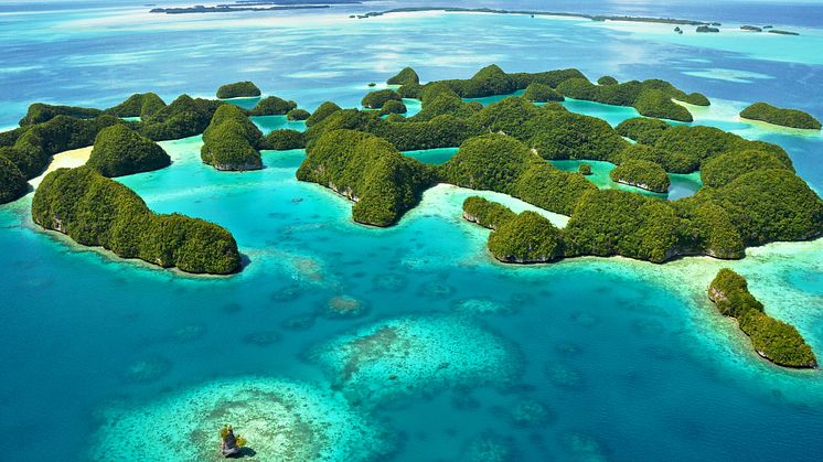 EXPERT COMMENT: A huge marine reserve in the Pacific will protect rich tourists rather than fish 