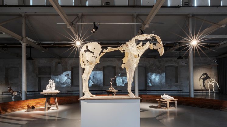 Utställningsvy Hästen, roboten ooch det omätbara, ("Cheval Blanc"), Tove Kjellmark, 2022