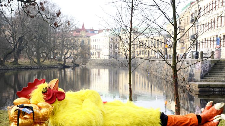 Clarion Hotel arrangerer eggjakt på 35 steder i Norden