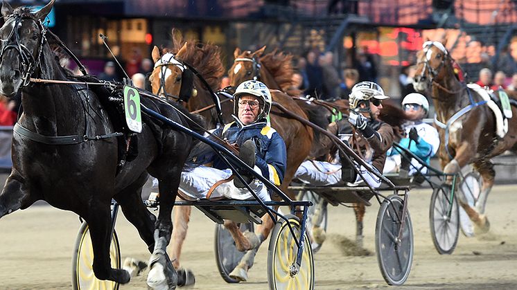 Nuncio segrade i Meadow Roads lopp 2016 och vann sedan Elitloppet samma år. Foto: TR Bild