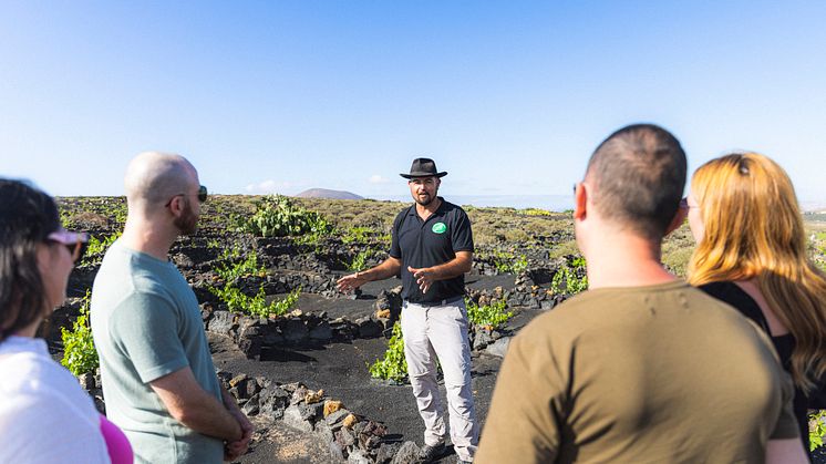 Spain_Lanzarote_La Geria vineyards