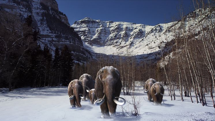 Det händer på Naturhistoriska riksmuseet i december