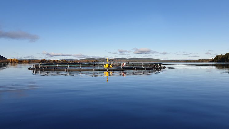 Vi är stolta över alla våra vattenbruksföretag som dagligen producerar nyttig och hälsosam mat!